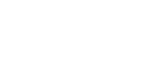 Precision Data White Logo